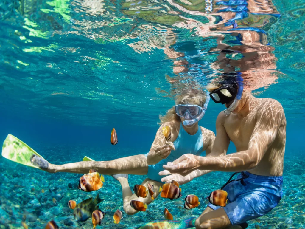 Best Beaches for Snorkeling curacao