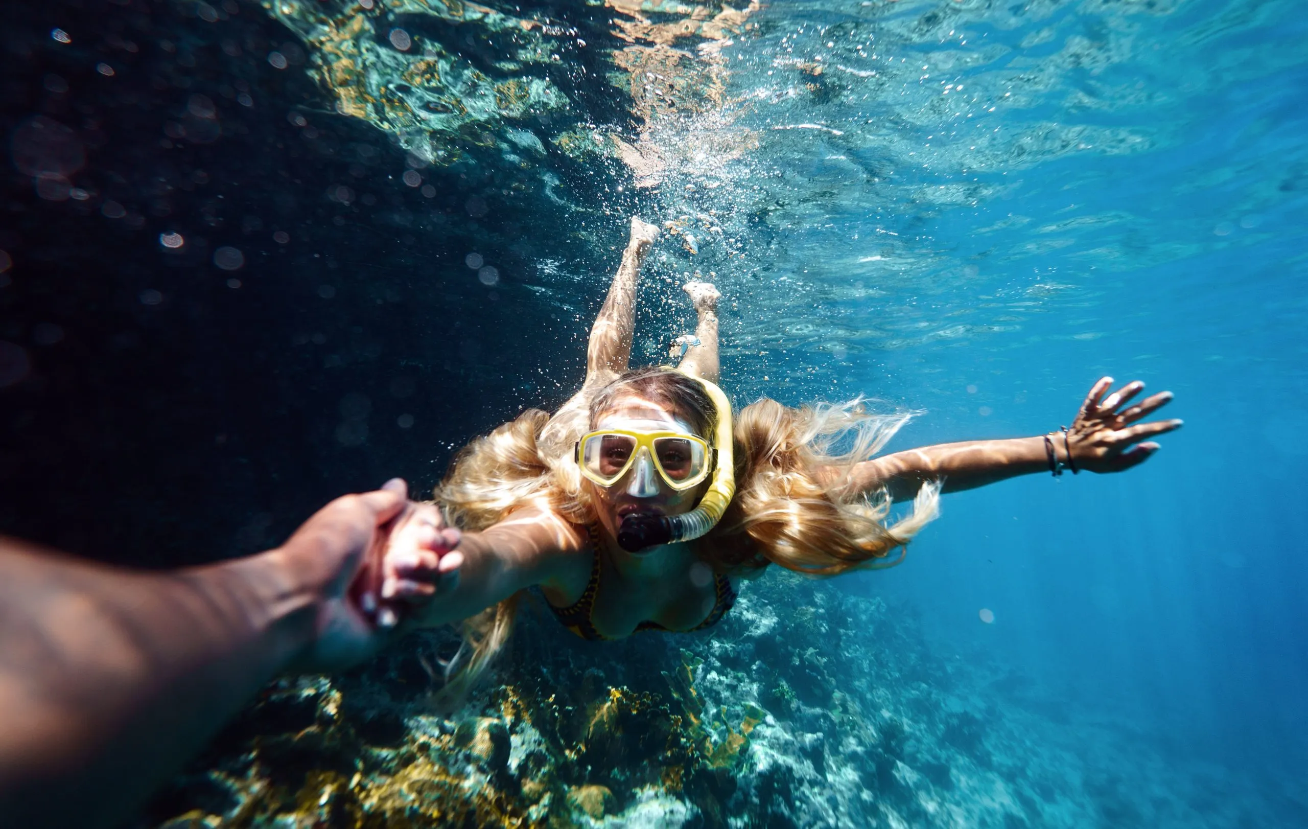 Snorkeling and Diving Spots in Curacao