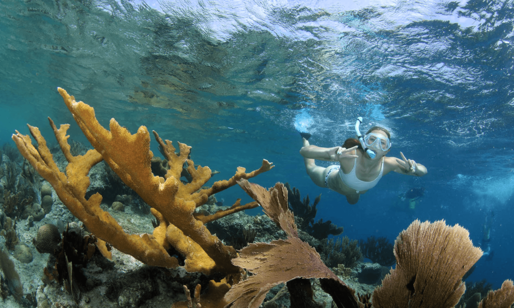 playa lagun curacao snorkeling